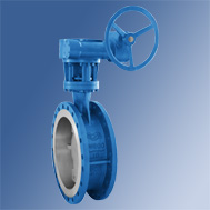 D343H Butterfly valve